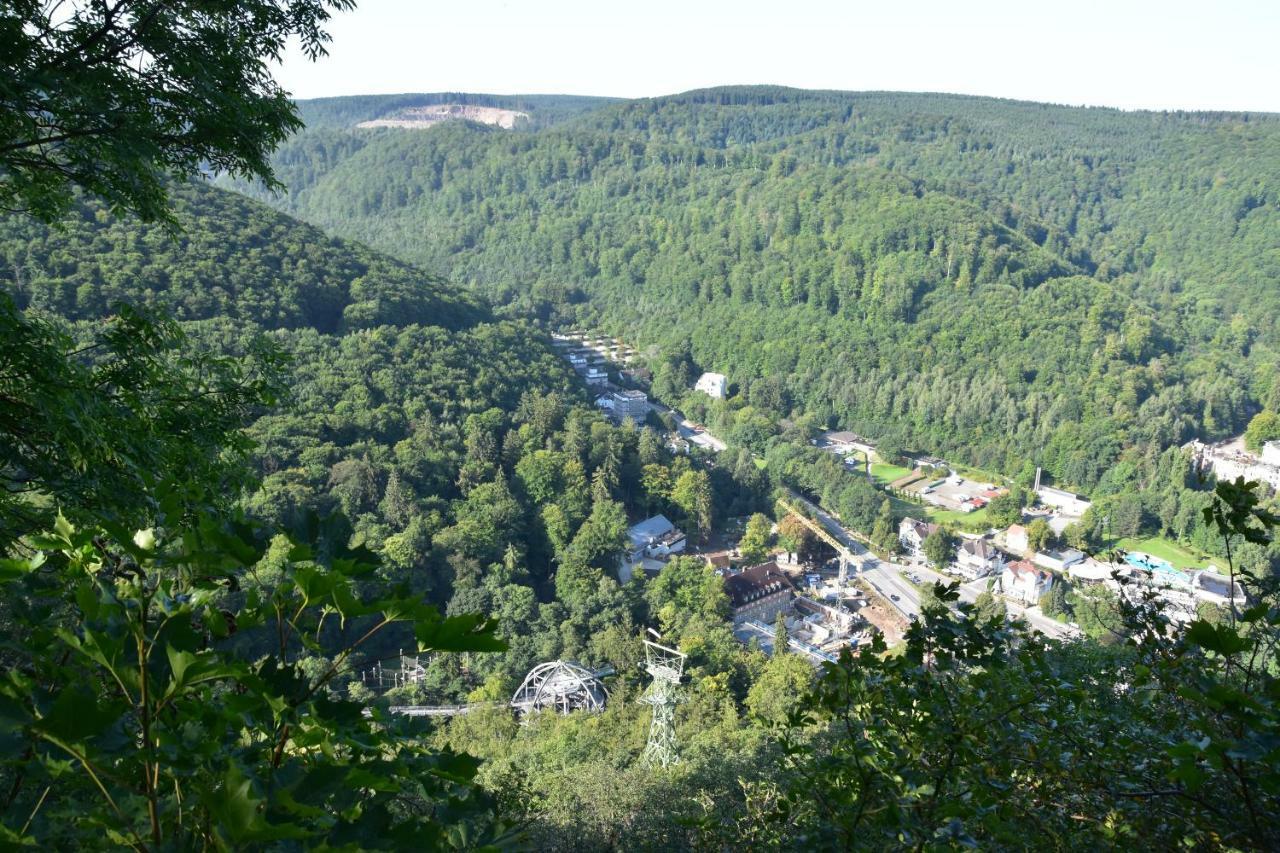 Bergbluete Bad Harzburg